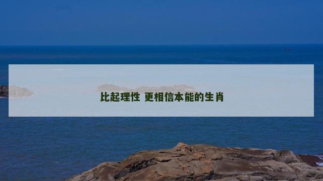 比起理性 更相信本能的生肖