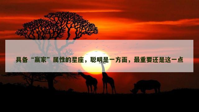 具备“赢家”属性的星座，聪明是一方面，最重要还是这一点