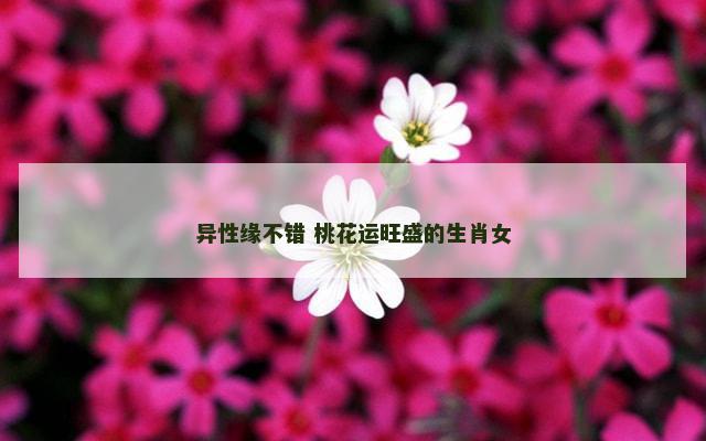 异性缘不错 桃花运旺盛的生肖女