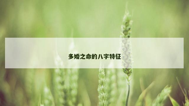多婚之命的八字特征