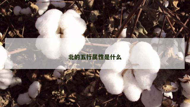北的五行属性是什么
