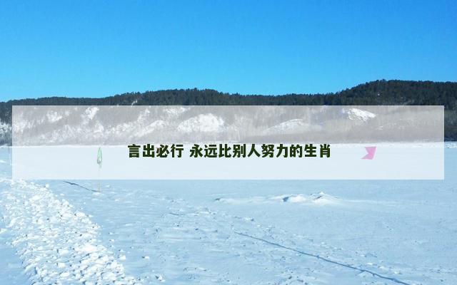 言出必行 永远比别人努力的生肖