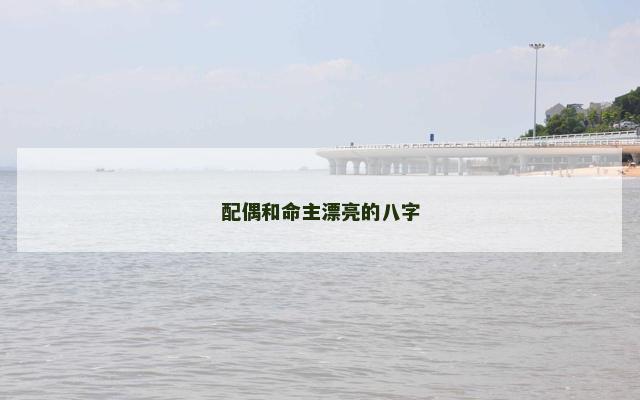 配偶和命主漂亮的八字