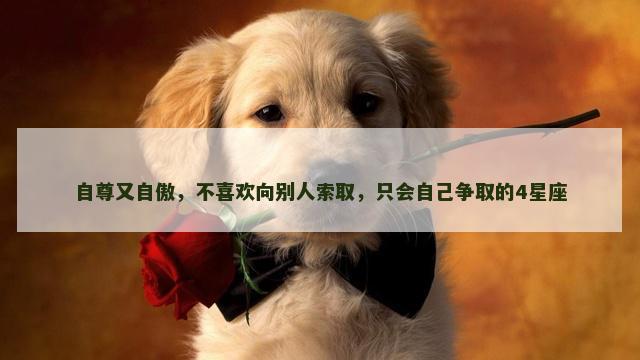 自尊又自傲，不喜欢向别人索取，只会自己争取的4星座
