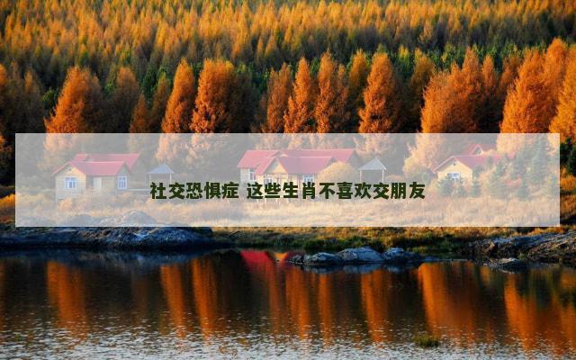 社交恐惧症 这些生肖不喜欢交朋友