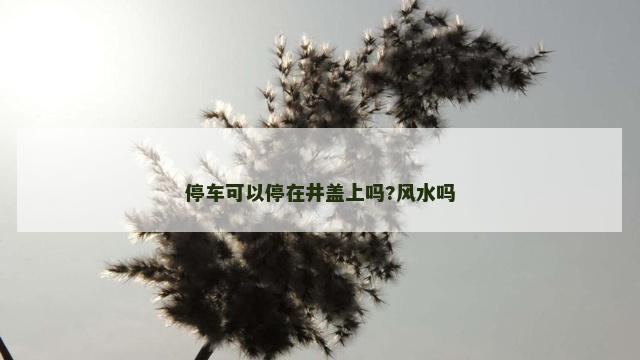 停车可以停在井盖上吗?风水吗