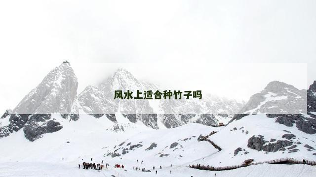 风水上适合种竹子吗