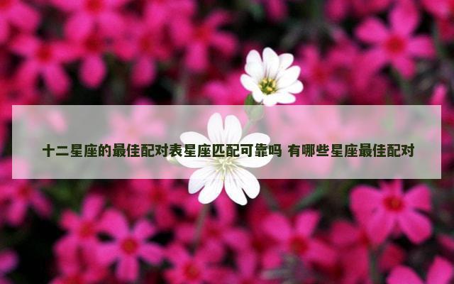 十二星座的最佳配对表星座匹配可靠吗 有哪些星座最佳配对