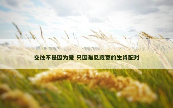 交往不是因为爱 只因难忍寂寞的生肖配对