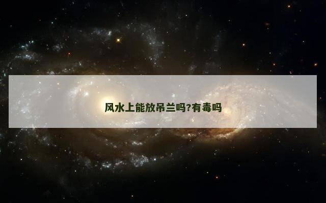 风水上能放吊兰吗?有毒吗