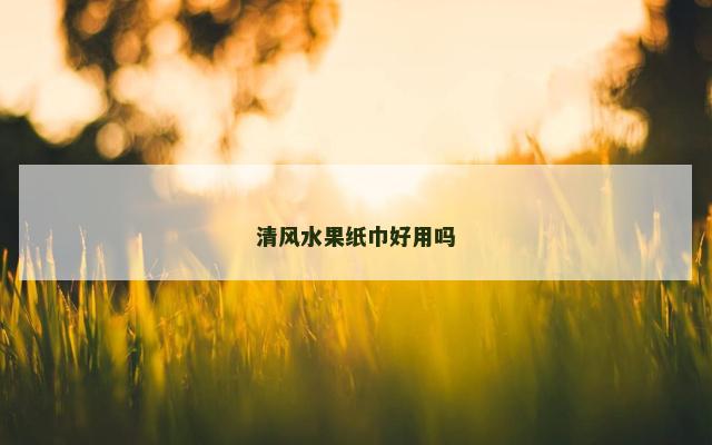 清风水果纸巾好用吗