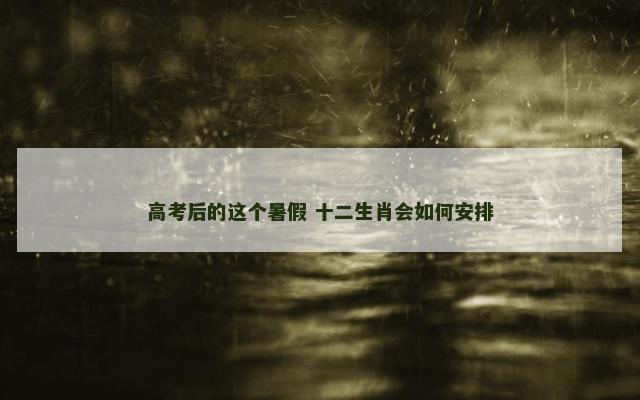 高考后的这个暑假 十二生肖会如何安排