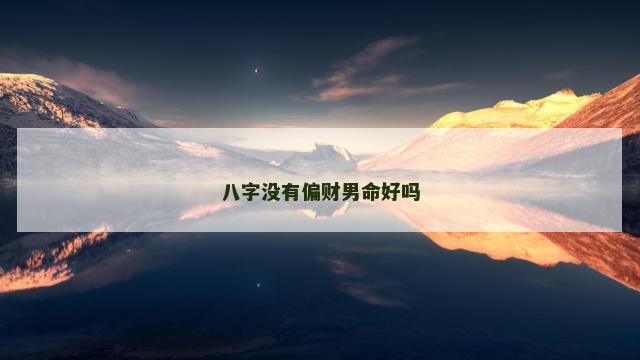 八字没有偏财男命好吗