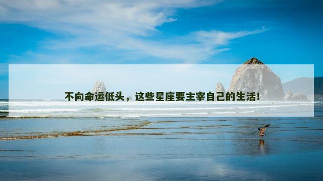 不向命运低头，这些星座要主宰自己的生活！