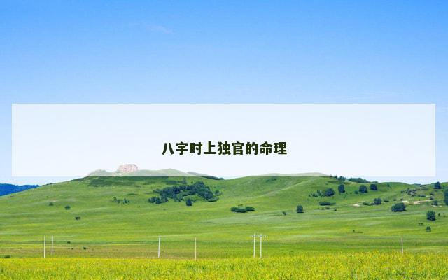八字时上独官的命理