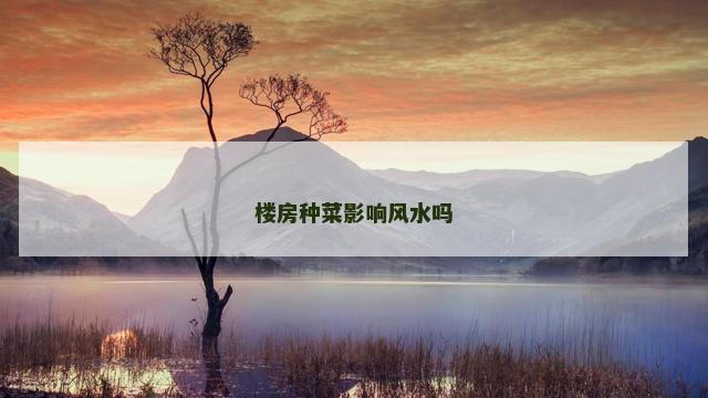 楼房种菜影响风水吗