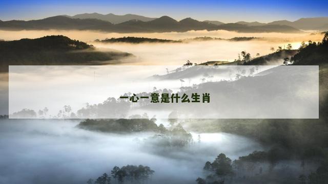 一心一意是什么生肖