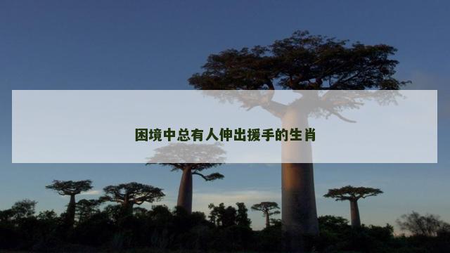 困境中总有人伸出援手的生肖