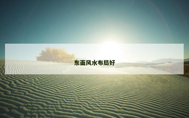 东面风水布局好