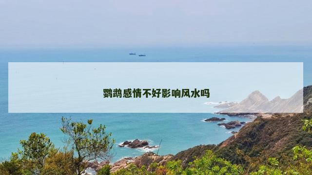 鹦鹉感情不好影响风水吗