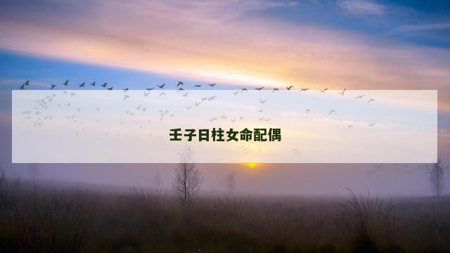 壬子日柱女命配偶