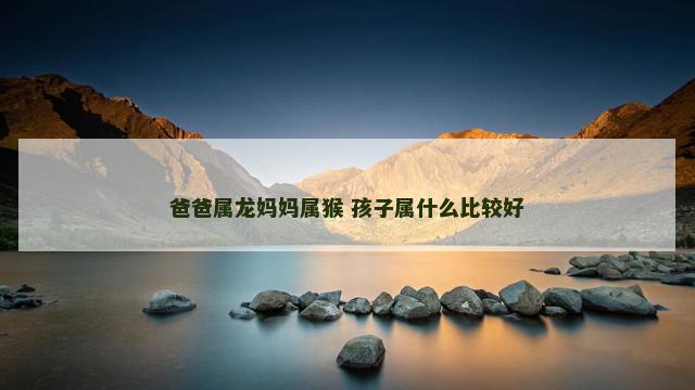 爸爸属龙妈妈属猴 孩子属什么比较好