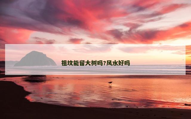 祖坟能留大树吗?风水好吗