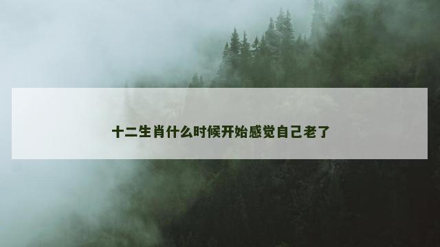 十二生肖什么时候开始感觉自己老了