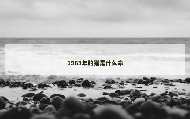1983年的猪是什么命