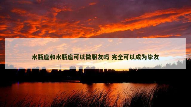 水瓶座和水瓶座可以做朋友吗 完全可以成为挚友