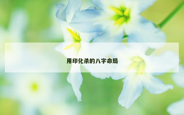 用印化杀的八字命局