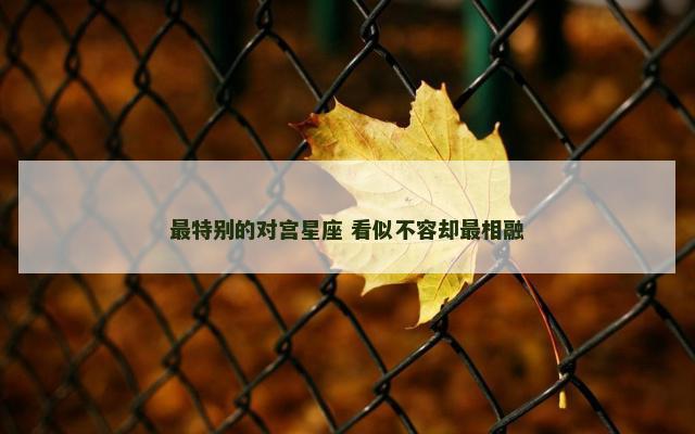 最特别的对宫星座 看似不容却最相融