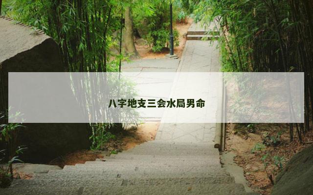 八字地支三会水局男命
