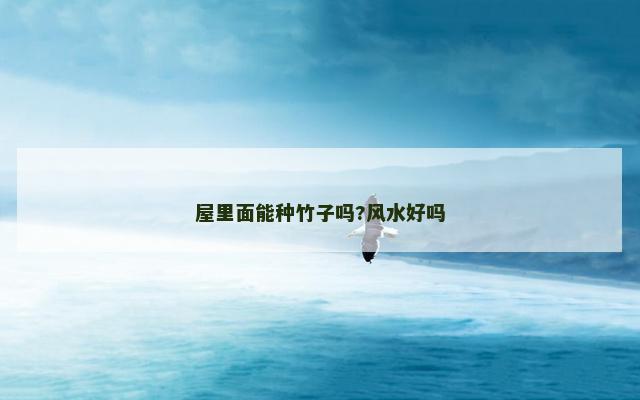 屋里面能种竹子吗?风水好吗