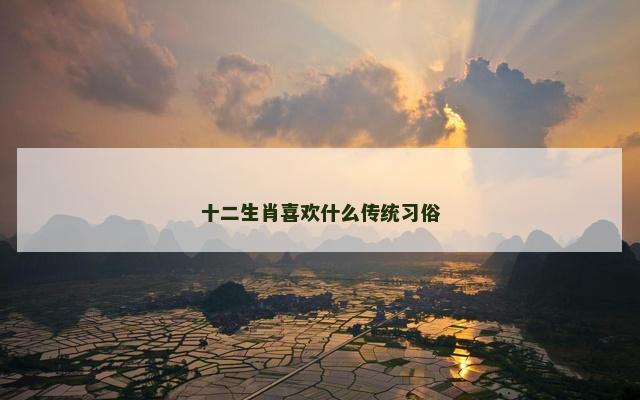 十二生肖喜欢什么传统习俗