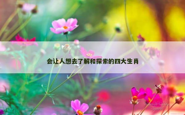 会让人想去了解和探索的四大生肖