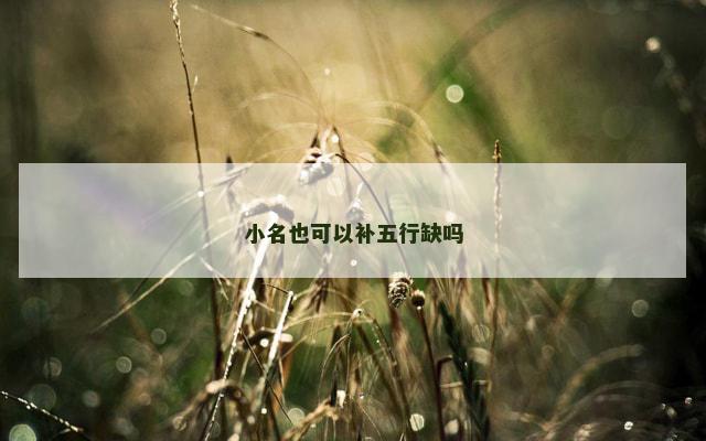 小名也可以补五行缺吗