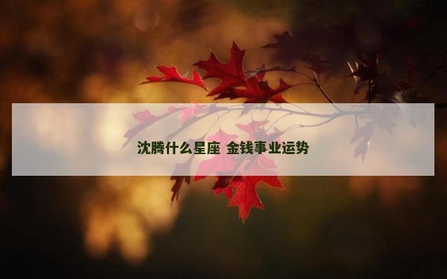 沈腾什么星座 金钱事业运势