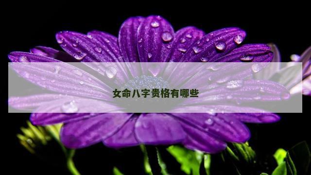 女命八字贵格有哪些