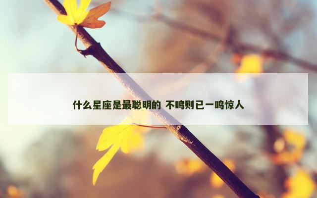 什么星座是最聪明的 不鸣则已一鸣惊人