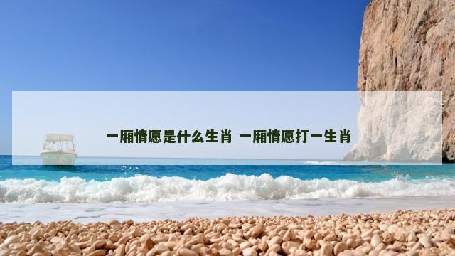 一厢情愿是什么生肖 一厢情愿打一生肖