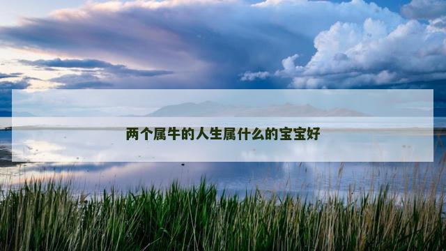 两个属牛的人生属什么的宝宝好