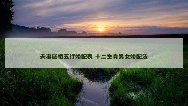 夫妻属相五行婚配表 十二生肖男女婚配法