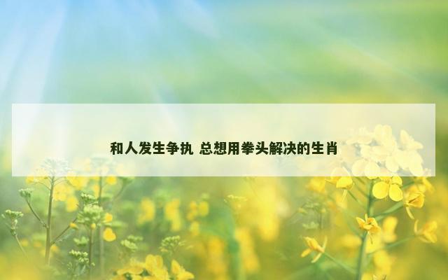 和人发生争执 总想用拳头解决的生肖