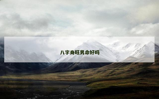 八字身旺男命好吗