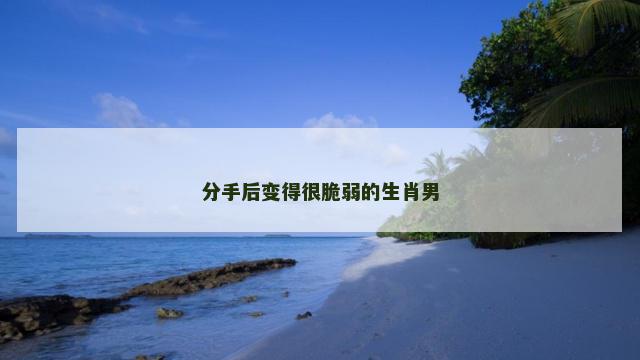 分手后变得很脆弱的生肖男