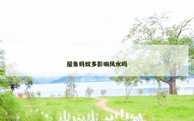 屋角蚂蚁多影响风水吗