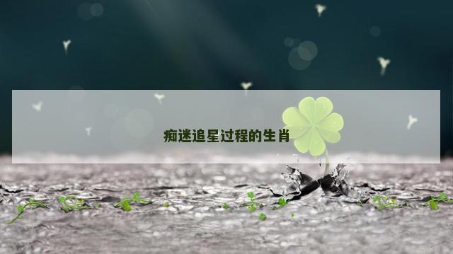 痴迷追星过程的生肖