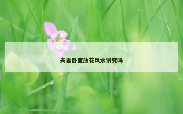 夫妻卧室放花风水讲究吗