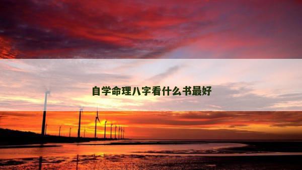 自学命理八字看什么书最好